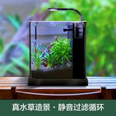 魚缸增氧誤區與真相許多養魚愛好者誤以為魚缸必須增氧：給魚缸吹氣能增氧嗎？