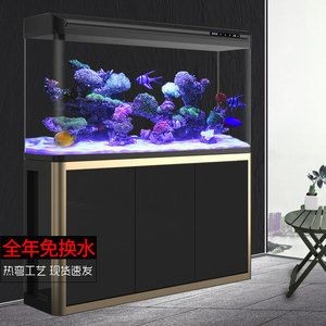 大型魚缸客廳養什么魚好：大型魚缸適合養什么魚？