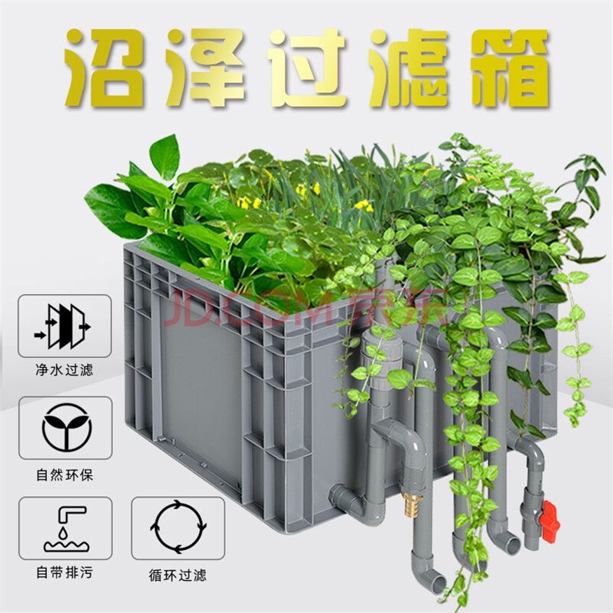 適合古法養魚的水草種類如何選擇適合古法養魚的水草種類：古法養魚的水草種類