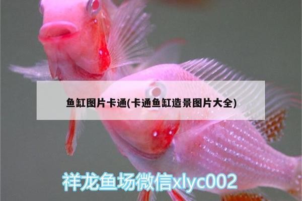 南京市白下區蜜寵生活水族館（南京市白下區蜜寵生活水族館地址）