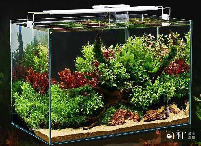 魚缸的風水擺放原則：風水魚缸擺放位置和風水魚缸擺放指南，魚缸擺放指南