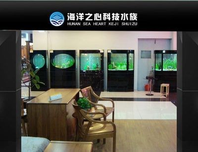 熱帶魚的養護秘籍：海洋之心魚缸是一款高檔的水族產品