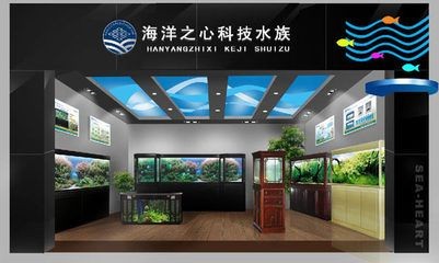 熱帶魚的養護秘籍：海洋之心魚缸是一款高檔的水族產品