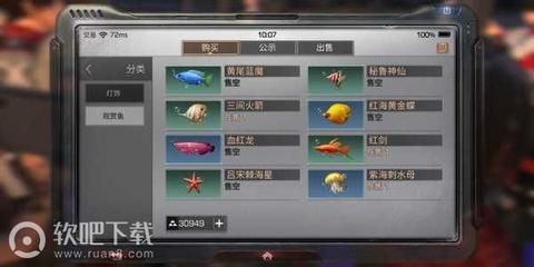 紅海魚(yú)缸養(yǎng)淡水魚(yú)需要注意什么？：紅海魚(yú)缸養(yǎng)殖的注意事項(xiàng)