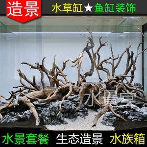 底濾魚缸改造成水草缸的常見方法：底濾魚缸如何改造成水草缸
