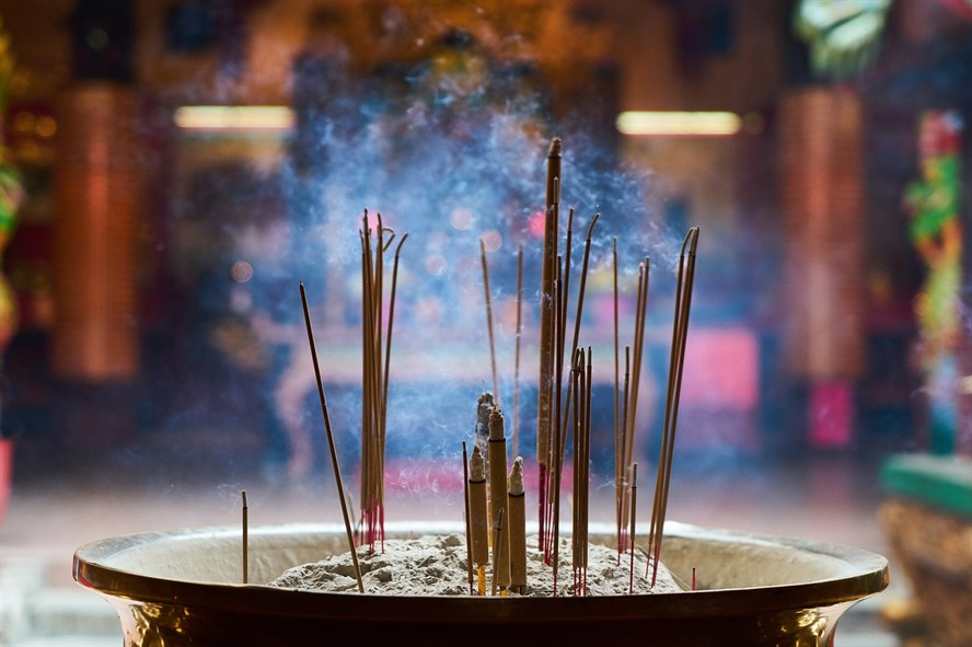 虎魚能和金龍魚一起養(yǎng)嗎圖片大全視頻（蝦虎魚可以和金魚一起養(yǎng)嗎）