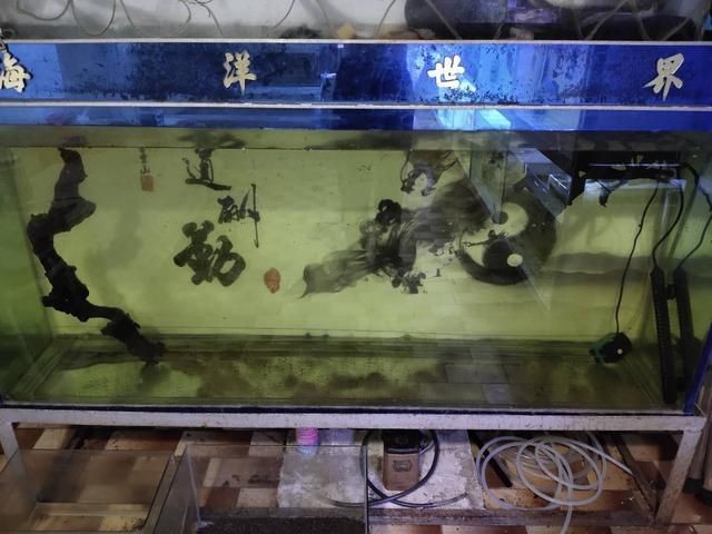 不用的舊魚缸怎么處理：廢舊魚缸如何處理 不用的舊魚缸怎么處理：廢舊魚缸如何處理 魚缸百科 第3張