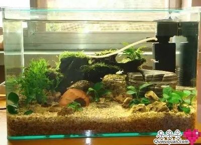 魚缸底砂選擇標準選擇標準選擇合適的魚缸底砂是養魚過程中的重要環節：魚缸底砂與水質管理的關系