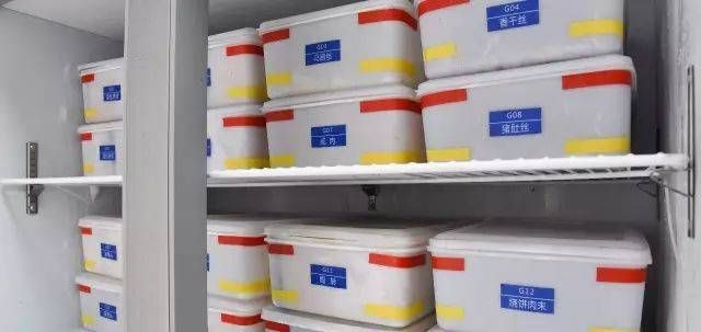 隔離盒的選購指南：隔離盒在魚缸中放置位置可以根據(jù)其具體用途來確定
