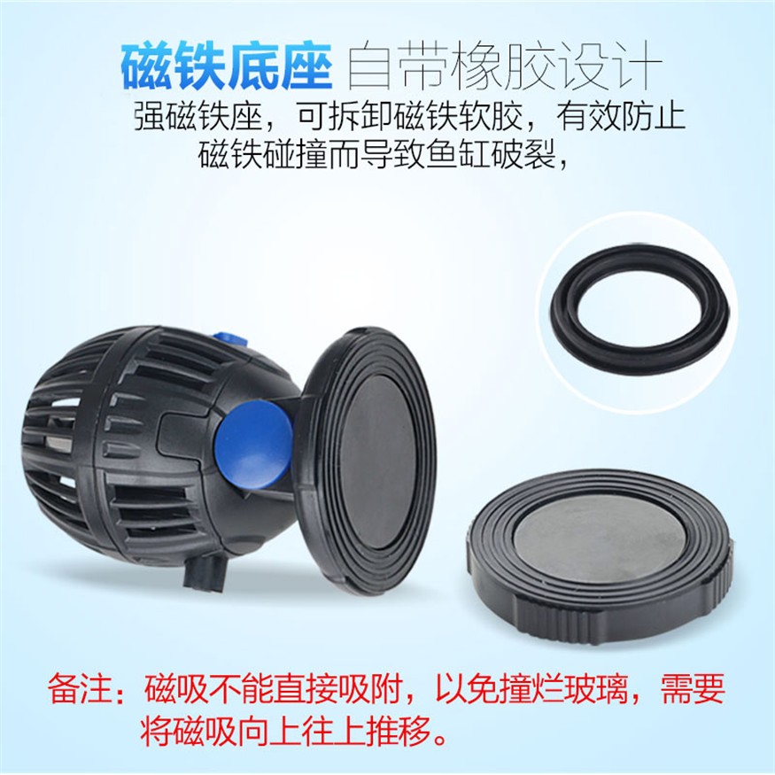 公銀龍魚長什么樣子圖片大全（公銀龍魚長什么樣子圖片大全集）