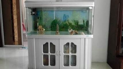如何挑選合適的二手魚缸：呼和浩特二手魚缸市場交易注意事項在二手魚缸市場交易時