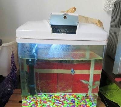 如何挑選合適的二手魚缸：呼和浩特二手魚缸市場交易注意事項在二手魚缸市場交易時