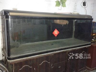 如何挑選二手魚缸？：哈爾濱二手魚缸交易