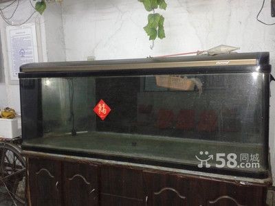 如何挑選二手魚缸？：哈爾濱二手魚缸交易