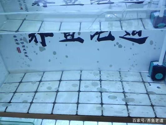 昌江石碌約瑟水族店（昌江石碌水療）