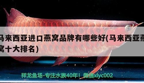 虎魚的產地（虎魚原產地）