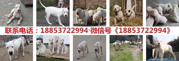 菏澤市定陶區魚多多水族館成立于2011年09月05日：定陶區魚多多水族館