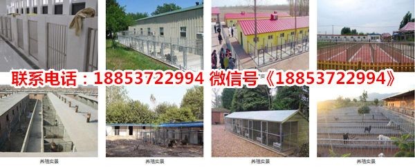 菏澤市定陶區魚多多水族館成立于2011年09月05日：定陶區魚多多水族館