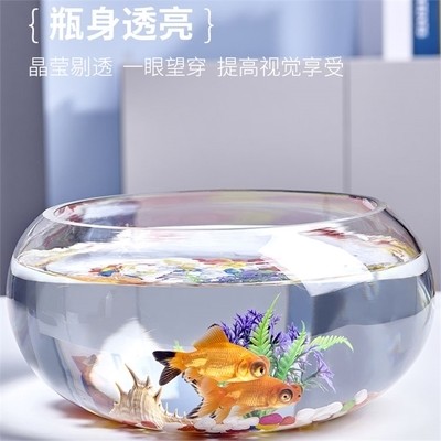 銀龍魚尾巴掉了還能長嗎（銀龍魚尾巴斷了還能長出來嗎）