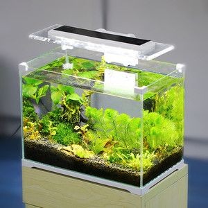 觀景魚缸的清理方法及其注意事項(xiàng)：觀景魚缸清潔與魚缸的清理方法及其注意事項(xiàng)，魚缸清潔效果
