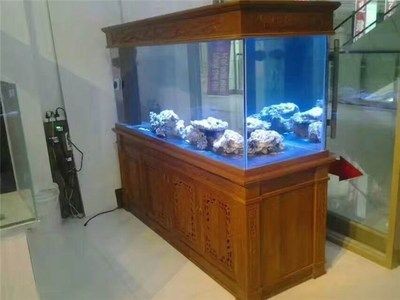 觀賞魚缸領域影響力的加盟品牌：水族器材的發展影響力：如何選擇一個合適的水族器材