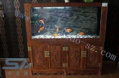 海納利爾魚缸是正品牌嗎：海納利爾魚缸旗艦店可能是正品銷售的海納利爾魚缸旗艦店