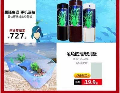 魚缸水質(zhì)管理的重要性：魚缸換水的科學(xué)依據(jù) 魚缸水質(zhì)管理的重要性：魚缸換水的科學(xué)依據(jù) 魚缸百科 第3張