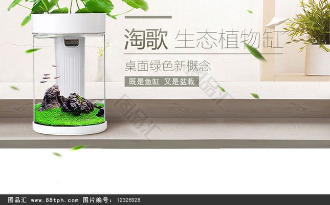 七彩銀龍魚圖片欣賞大全（七彩銀龍魚圖片欣賞大全大圖） 七彩銀龍魚圖片欣賞大全（七彩銀龍魚圖片欣賞大全大圖） 銀龍魚百科