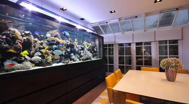 西安戶縣魚缸銷售店賣魚缸的地方有賣魚缸的地方：關于戶縣魚缸的問答