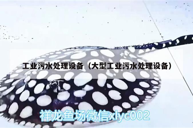 工業污水處理設備（大型工業污水處理設備）