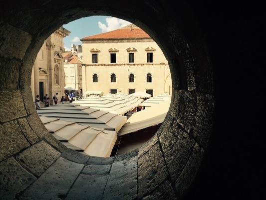 30cm銀龍魚多少錢（30厘米的銀龍魚多少錢）