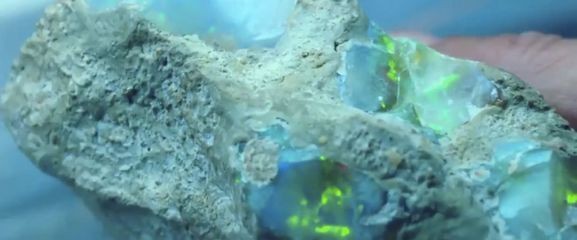魚缸生態系統的構建了解魚缸生態系統至關重要：魚缸水質管理的重要性