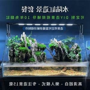薛城區(qū)陶莊鎮(zhèn)廣場水族館（薛城區(qū)陶莊鎮(zhèn)廣場水族館電話） 薛城區(qū)陶莊鎮(zhèn)廣場水族館（薛城區(qū)陶莊鎮(zhèn)廣場水族館電話） 全國水族館企業(yè)名錄 第1張