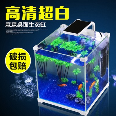 川匯區招財進寶水族館（川匯區招財進寶水族館電話）