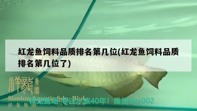 綠虎皮魚（翡翠綠虎皮魚）