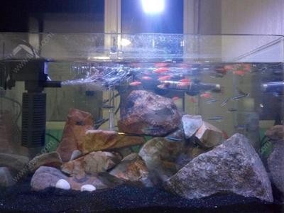 海安縣五洲商行.（海安縣五洲商行地址）