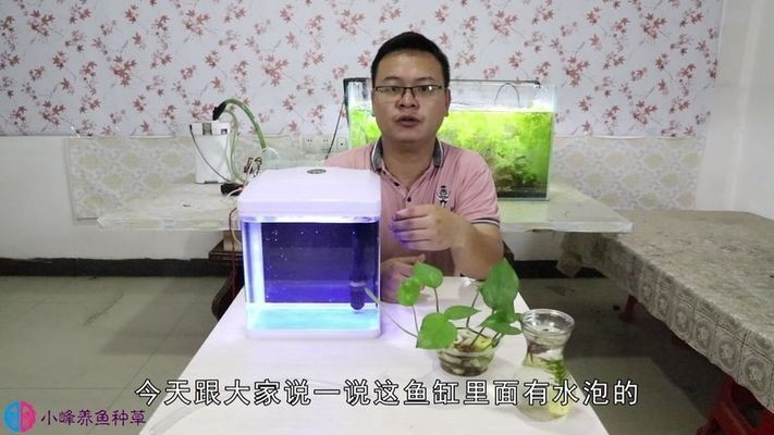 昆山市千燈鎮(zhèn)洪發(fā)水族館（昆山市千燈鎮(zhèn)洪發(fā)水族館電話）