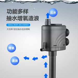 銀龍魚(yú)鱗片掉了會(huì)長(zhǎng)出來(lái)嗎圖片（銀龍魚(yú)鱗片掉了會(huì)長(zhǎng)出來(lái)嗎圖片大全）