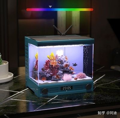 漢霸魚缸的生產(chǎn)工藝揭秘漢霸魚缸的生產(chǎn)工藝揭秘漢霸魚缸生產(chǎn)工藝：漢霸魚缸是否可以為您提供一些有關(guān)漢霸魚缸的信息