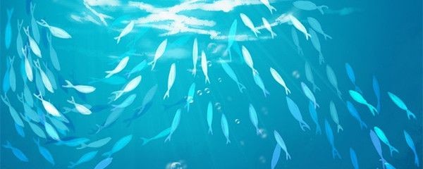 黃金達(dá)摩魚混養(yǎng)注意事項，黃金達(dá)摩魚在混養(yǎng)時需要注意水質(zhì)和環(huán)境要求和管理混養(yǎng)