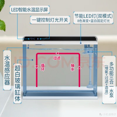 海口龍華越新和水族館