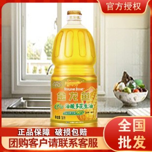 陽西縣城金龍水族世界（陽西縣金龍魚）