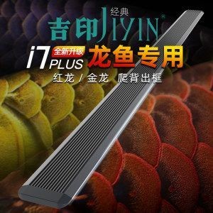 紅龍魚烤色燈什么牌子好