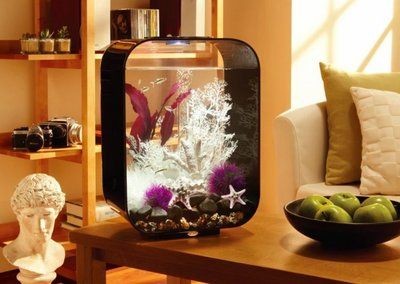 森森sunsun品牌背后的故事：國內外知名的魚缸品牌