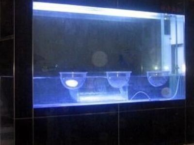 負(fù)壓魚缸的科學(xué)原理解析負(fù)壓魚缸的科學(xué)原理是什么：負(fù)壓魚缸是一種創(chuàng)新的水族展示方式