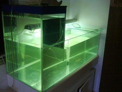 負(fù)壓魚缸的科學(xué)原理解析負(fù)壓魚缸的科學(xué)原理是什么：負(fù)壓魚缸是一種創(chuàng)新的水族展示方式