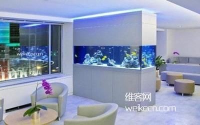 東戶魚缸放在客廳什么位置：東戶魚缸最佳擺放位置在家居布局中的應用于家居布局