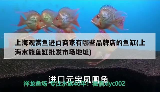 回民區蘭鱗閣水族館（回民區蘭鱗閣水族館電話）