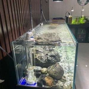 關于底濾魚缸造景圖80的問題：28篇底濾魚缸造景技巧底濾魚缸造景技巧