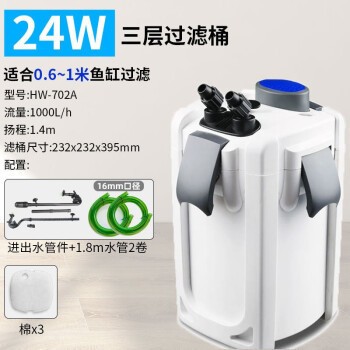 銀龍魚的樣子圖片大全集（銀龍魚的樣子圖片大全集高清）